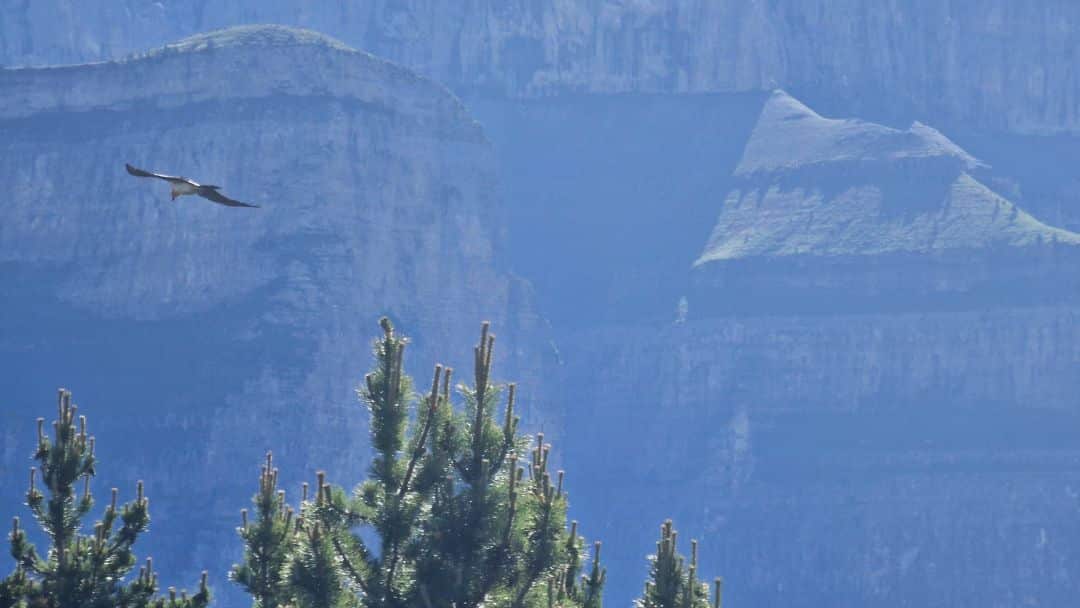 Excursión 4x4 por el Cebollar con vistas a Ordesa y Bujaruelo